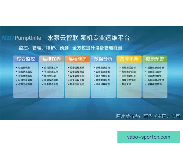 开云官方入口全方位指南涵盖注册使用功能解析与安全访问技巧详解